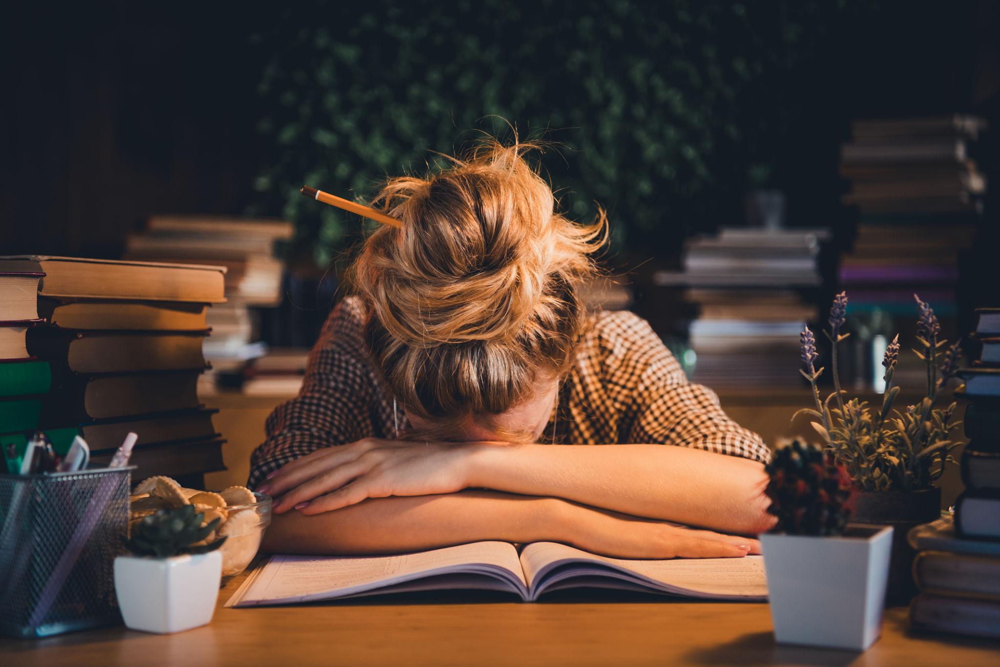 Student facing economics challenges